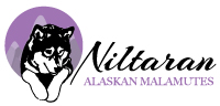 Niltaran-Alaskan-Malamutes-logo-200px